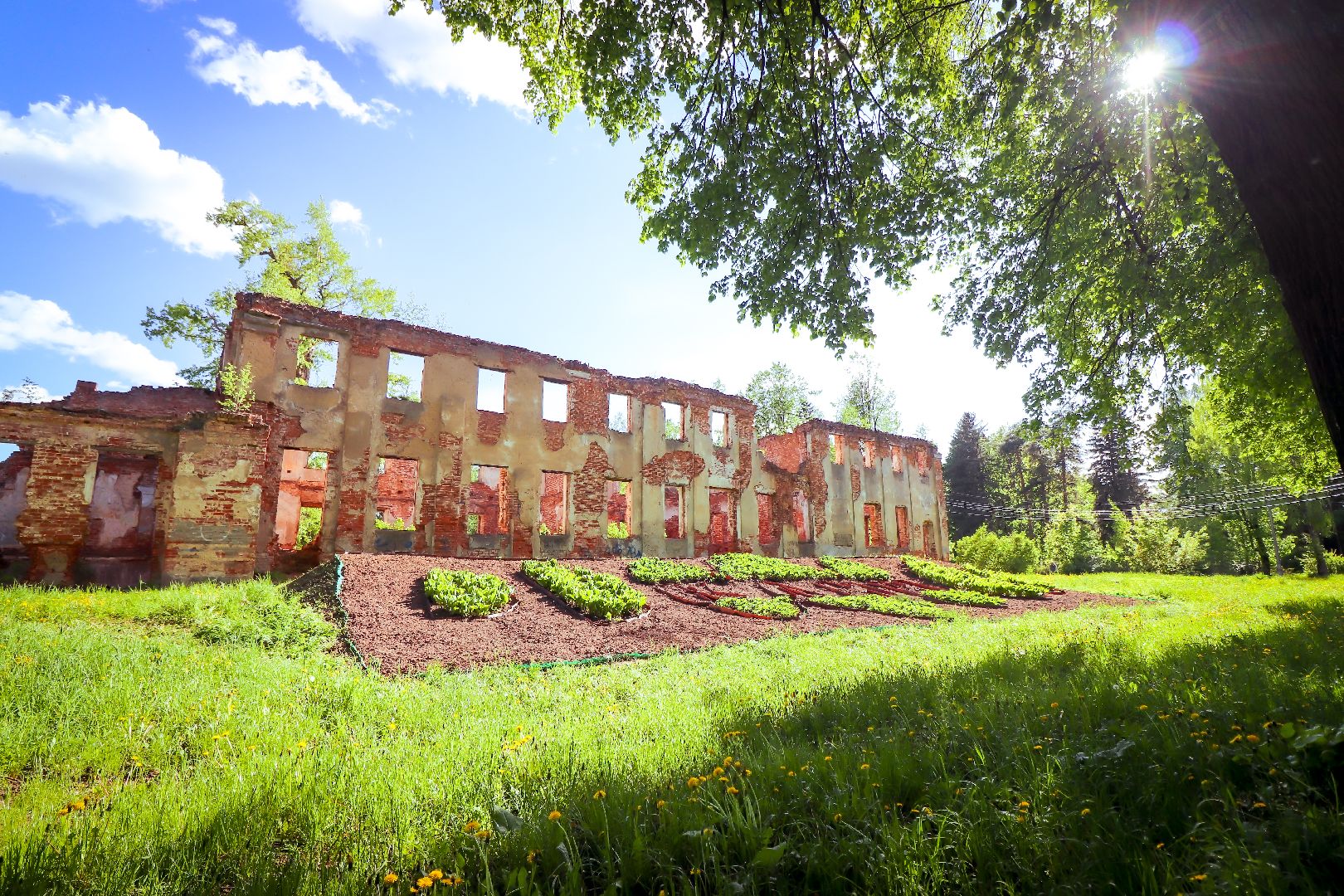 клин, общество, благоустройство, арт-объекты,