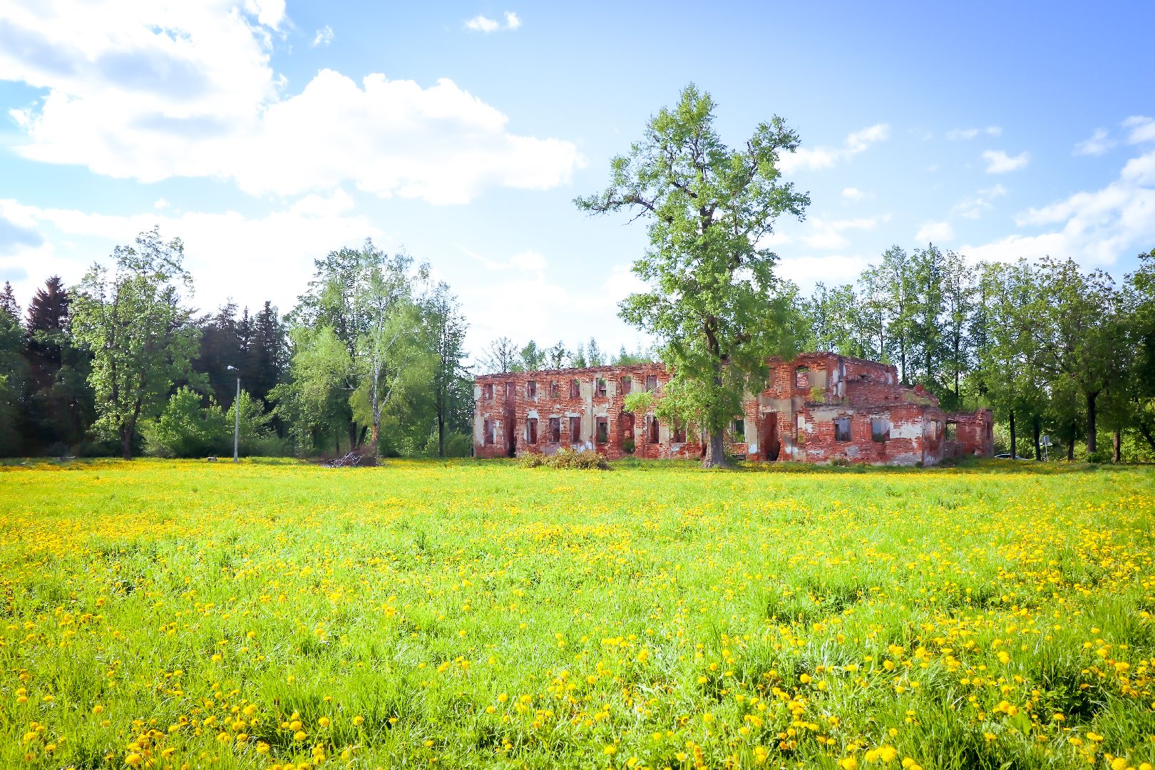 клин, общество, благоустройство, арт-объекты,