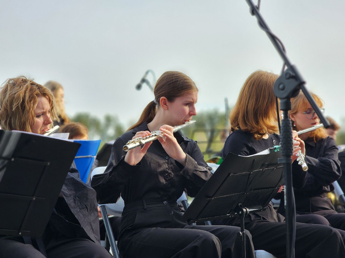 Черноголовка, Концерт, Оркестр,