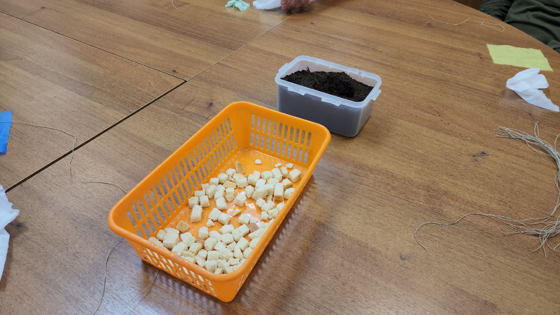 Славяне, Славянская культура, Лобня ,