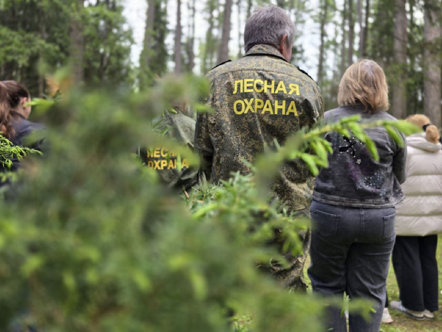 можайск, можайский муниципальный округ, подмосковье, дерево жизни, экологический проект, экология, сажаем правильно, передаем память,