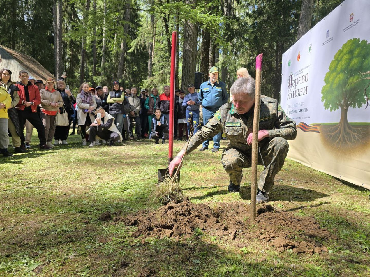 можайск, можайский муниципальный округ, подмосковье, дерево жизни, экологический проект, экология, сажаем правильно, передаем память,