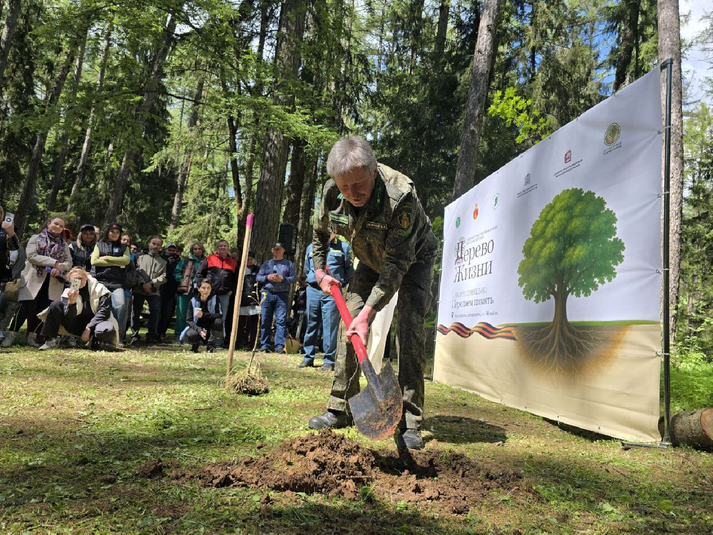 можайск, можайский муниципальный округ, подмосковье, дерево жизни, экологический проект, экология, сажаем правильно, передаем память,