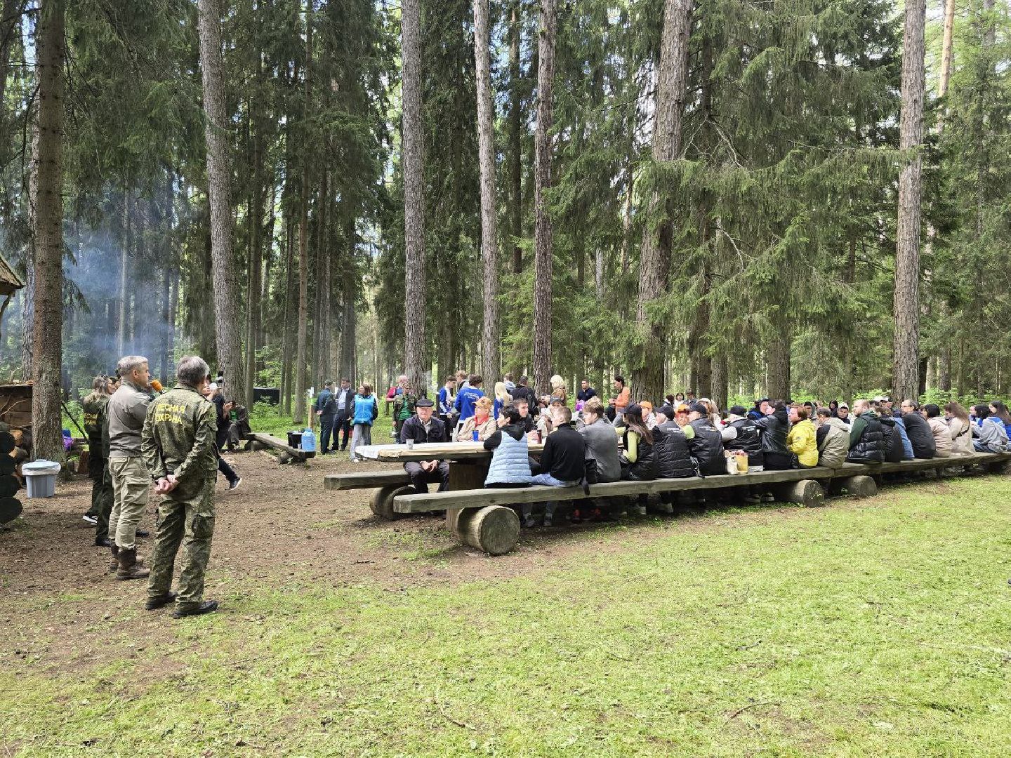 можайск, можайский муниципальный округ, подмосковье, дерево жизни, экологический проект, экология, сажаем правильно, передаем память,