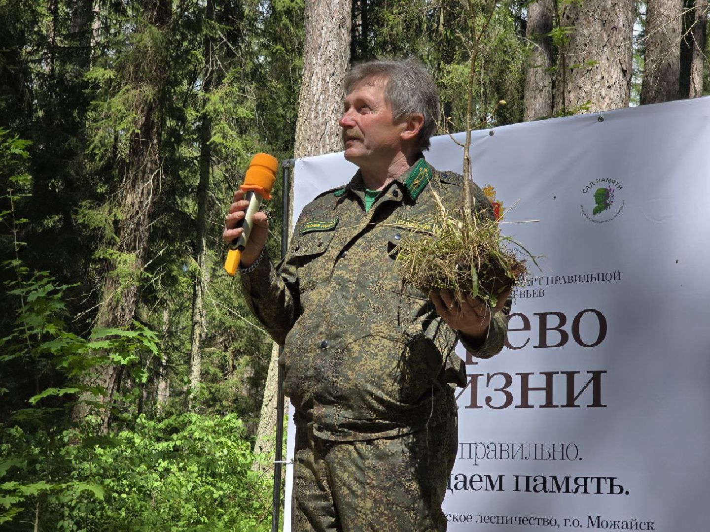 можайск, можайский муниципальный округ, подмосковье, дерево жизни, экологический проект, экология, сажаем правильно, передаем память,