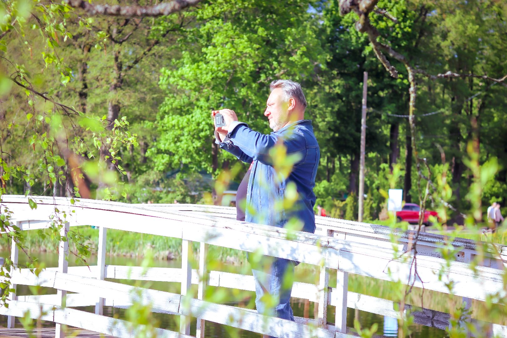 клин, общество, экология, лебеди, парки подмосковья,