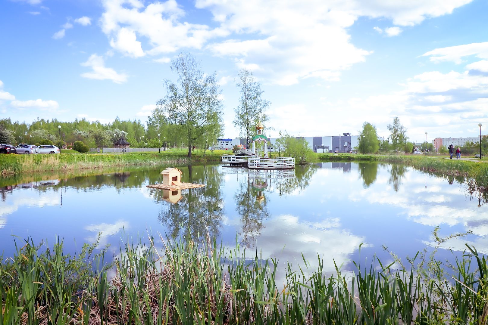 клин, общество, экология, лебеди, парки подмосковья,