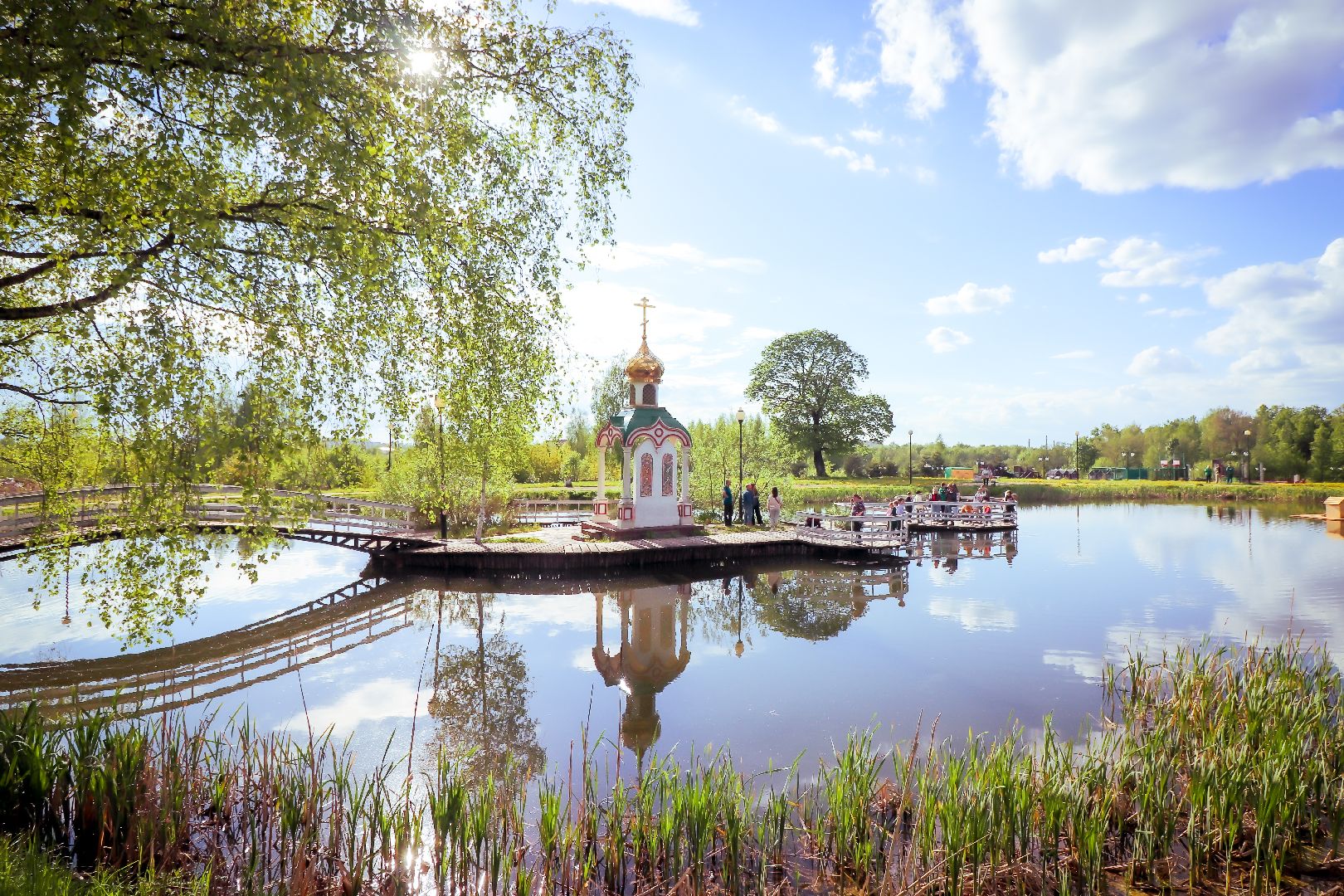 клин, общество, экология, лебеди, парки подмосковья,