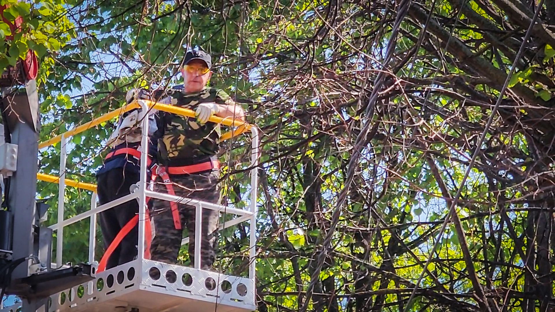 бронницы, опиловка деревьев, благоустройство ,