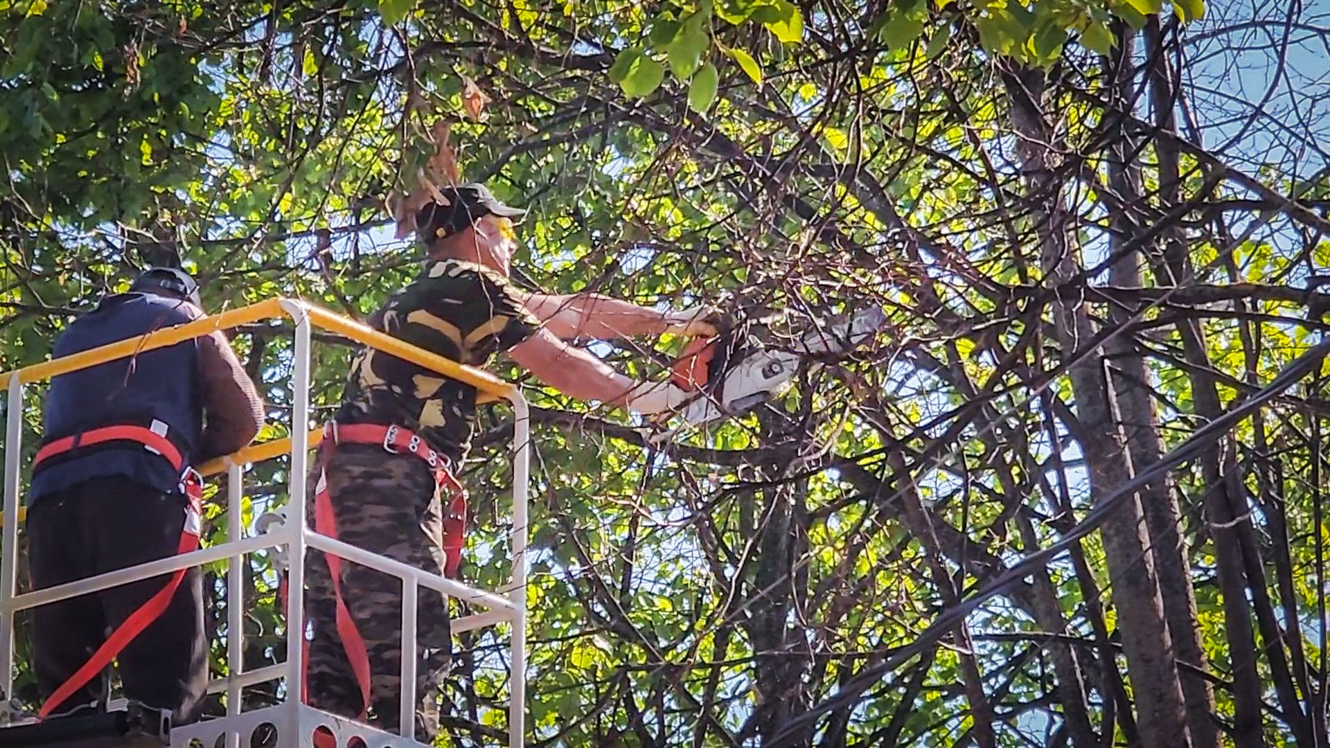 бронницы, опиловка деревьев, благоустройство ,