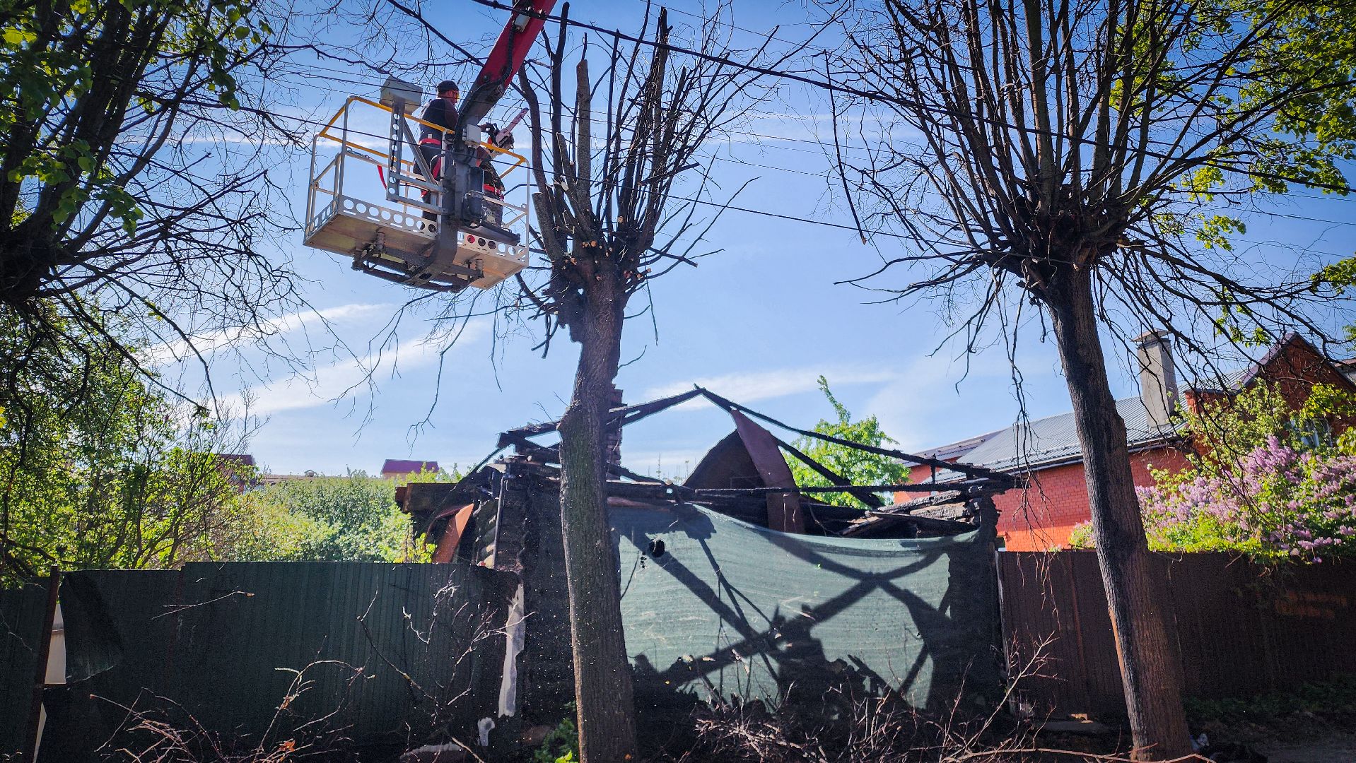 бронницы, опиловка деревьев, благоустройство ,