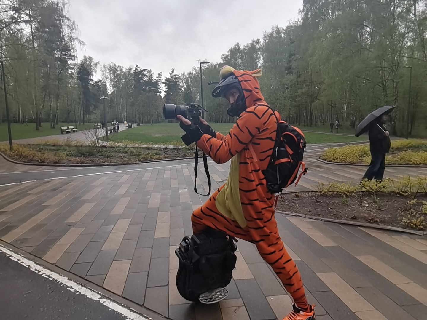 Балашиха, парки, скверы, улицы города, фотоохота, Тигруля, позитив, фотографии, видеоролики, путешествие по Балашихе