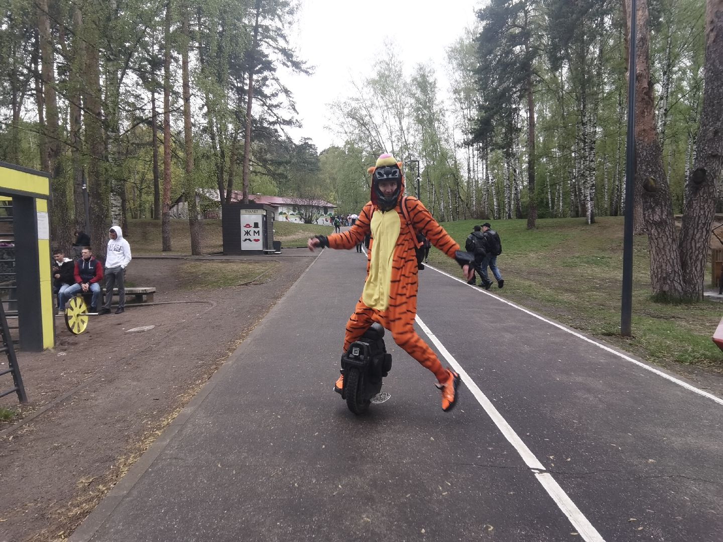 Балашиха, парки, скверы, улицы города, фотоохота, Тигруля, позитив, фотографии, видеоролики, путешествие по Балашихе