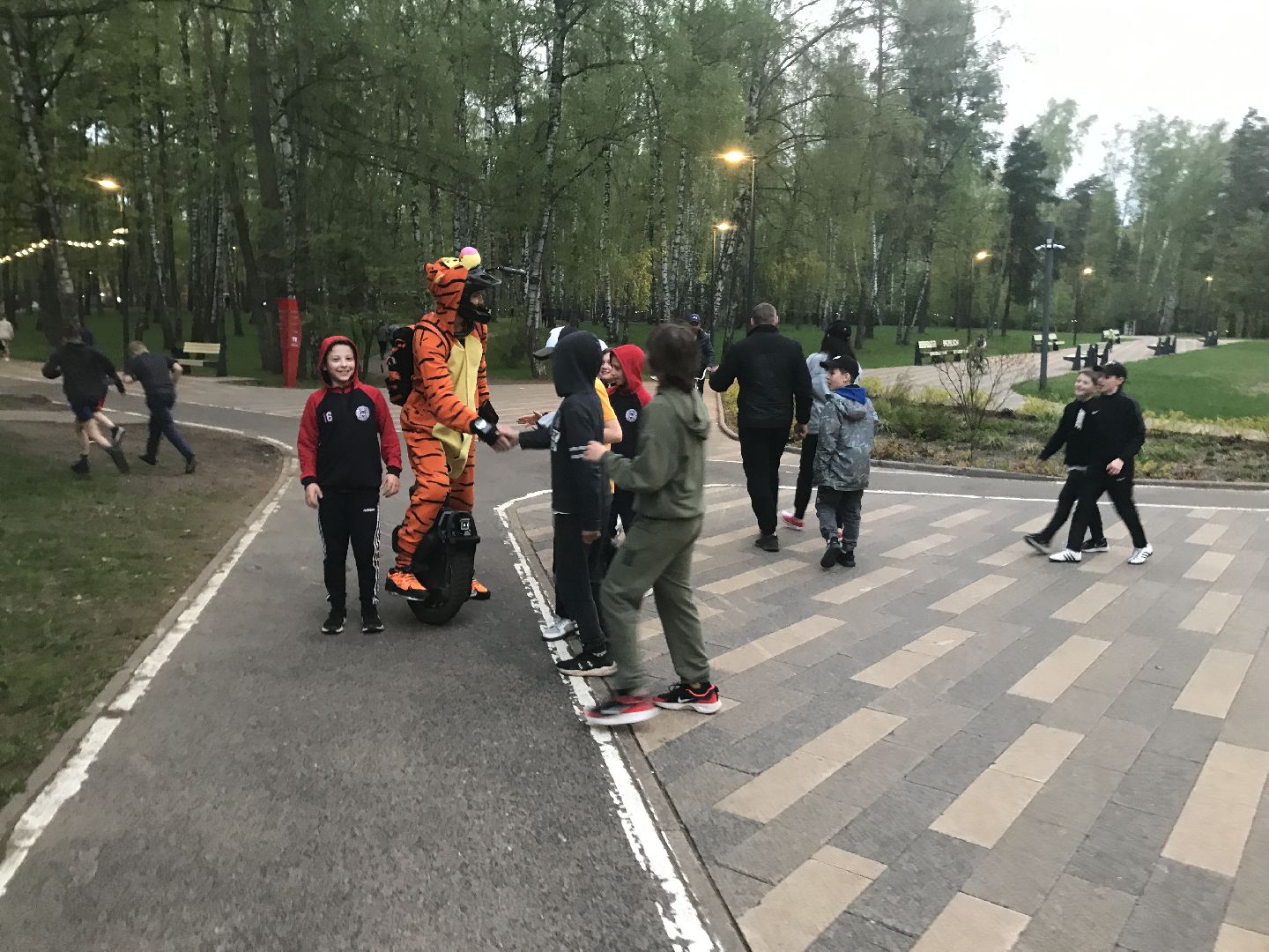 Балашиха, парки, скверы, улицы города, фотоохота, Тигруля, позитив, фотографии, видеоролики, путешествие по Балашихе