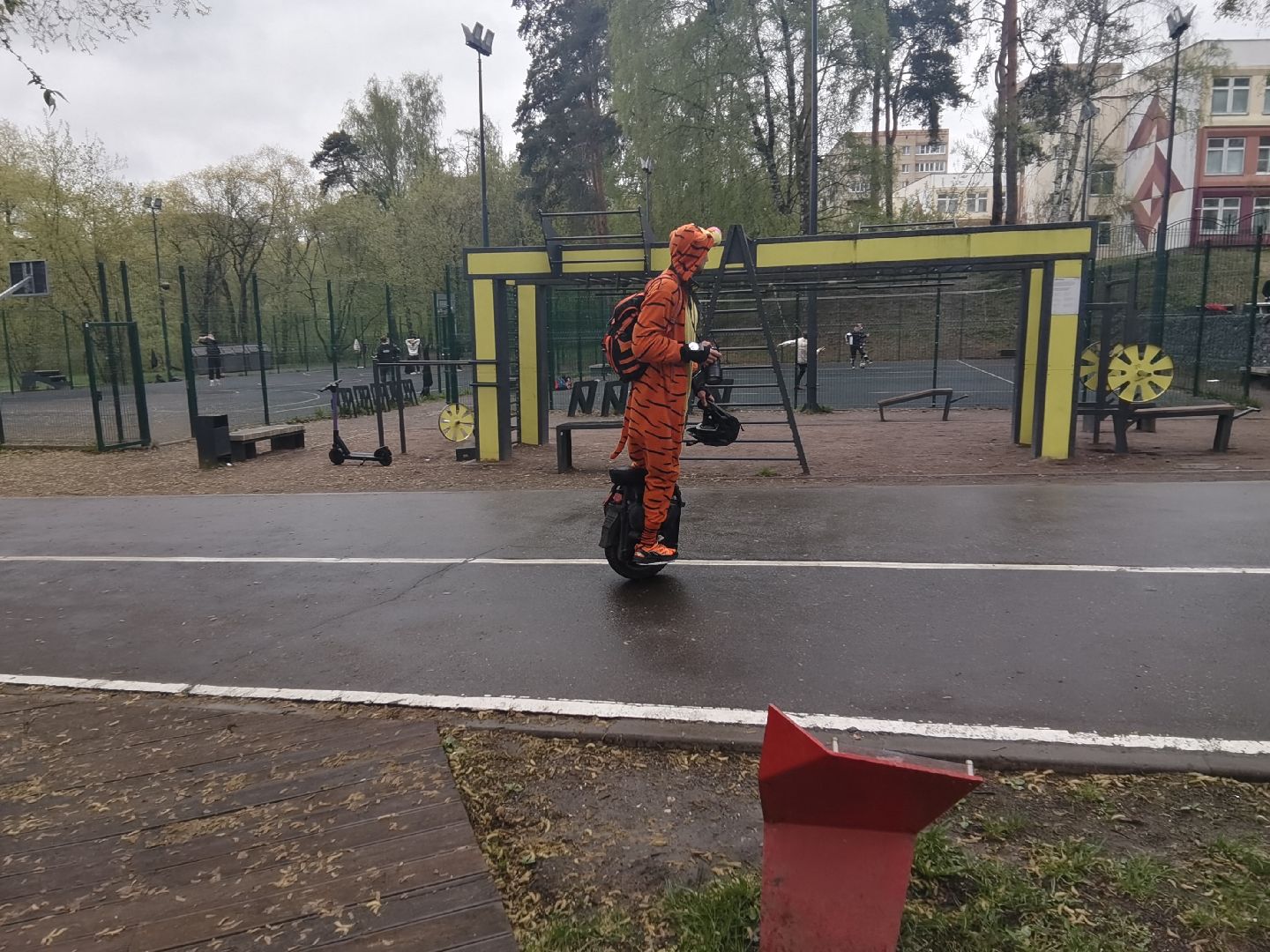 Балашиха, парки, скверы, улицы города, фотоохота, Тигруля, позитив, фотографии, видеоролики, путешествие по Балашихе