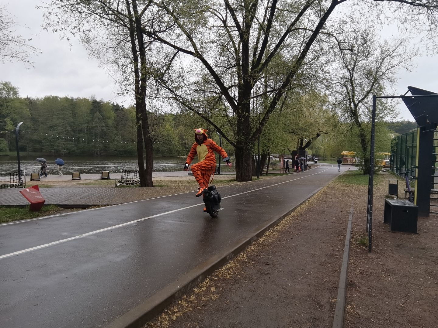 Балашиха, парки, скверы, улицы города, фотоохота, Тигруля, позитив, фотографии, видеоролики, путешествие по Балашихе