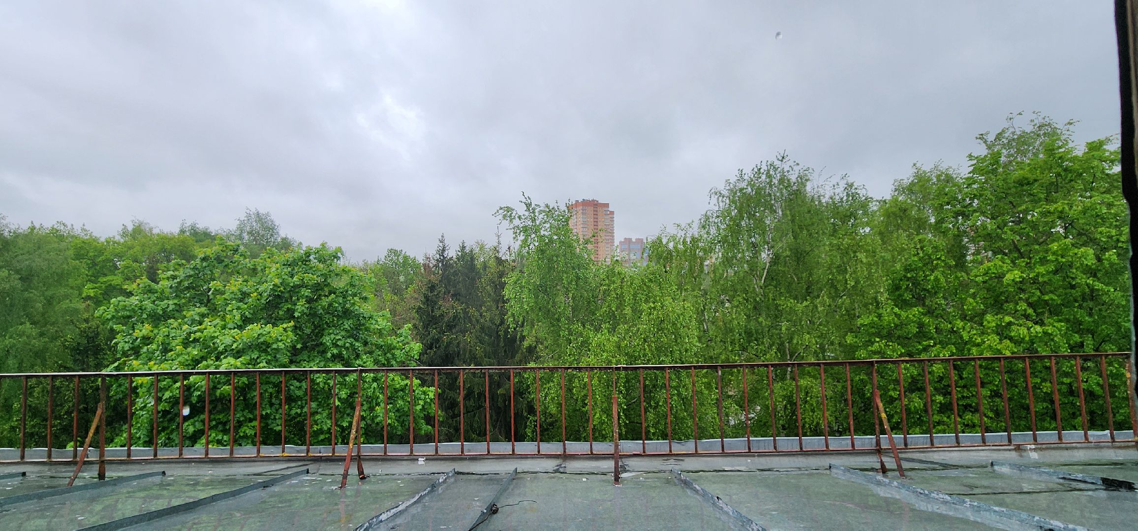 Химки, Капитальный ремонт, Строительство , Реконструкция,