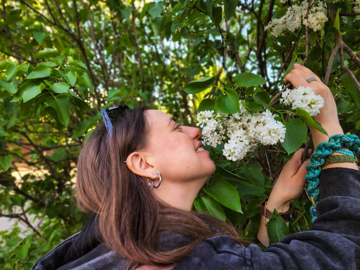 Подольск, Сирень, Штрафы,