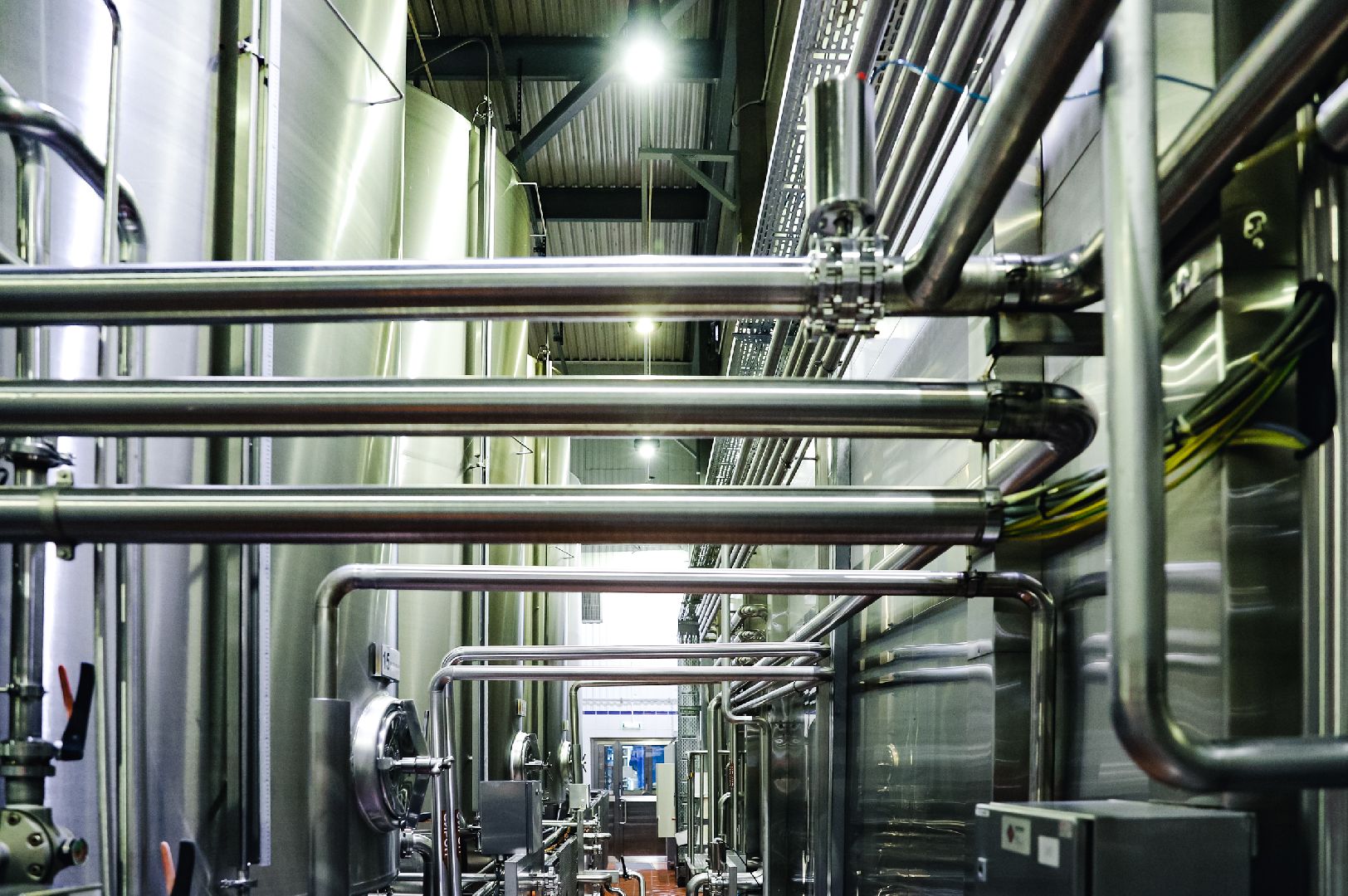 бизнес, напитки, производство,