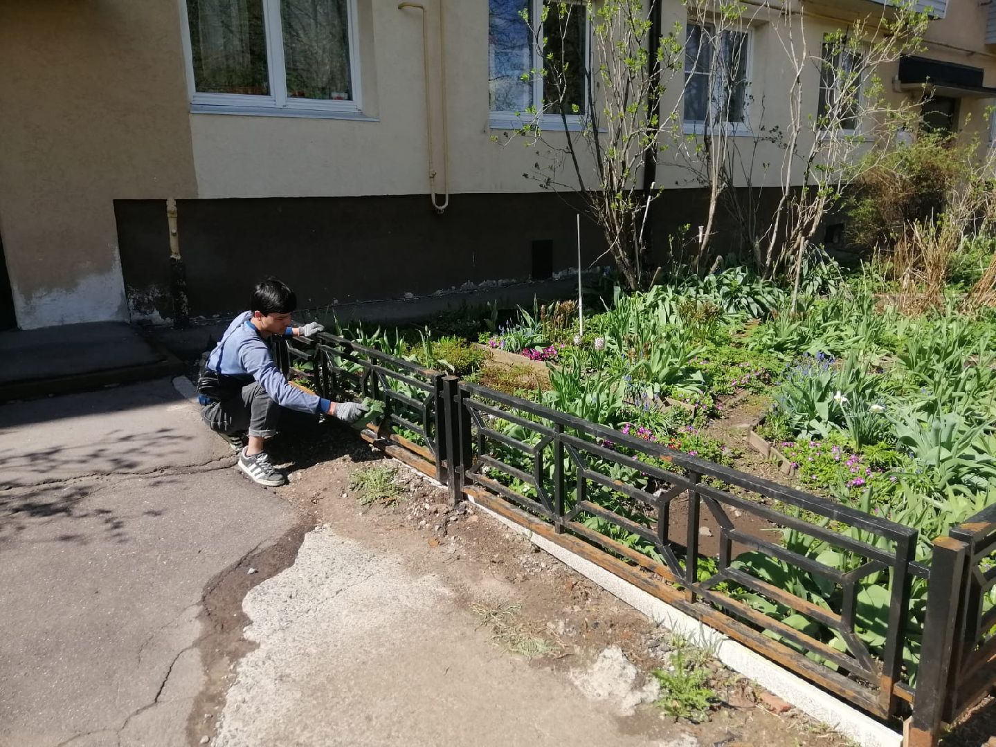 жкх, благоустройство, городской округ восход,