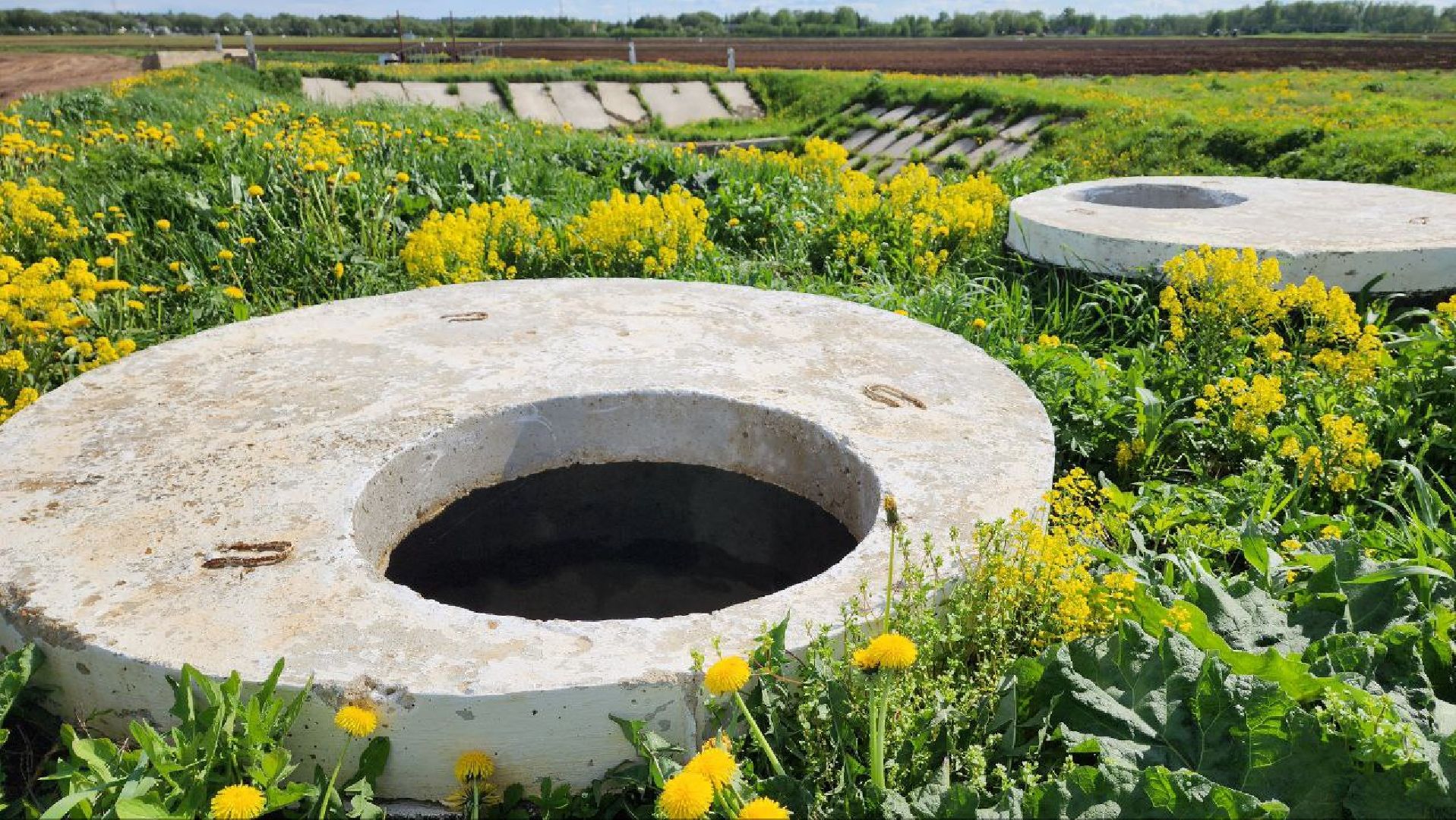 Дмитров, Минсельхоз, Мособлдума, Агрохолдинг, Дмитровские овощи,