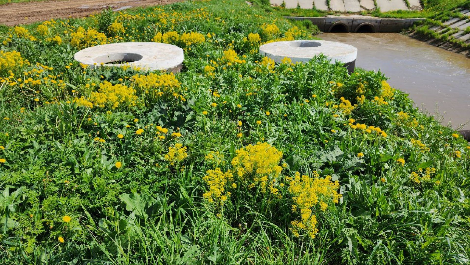 Дмитров, Минсельхоз, Мособлдума, Агрохолдинг, Дмитровские овощи,