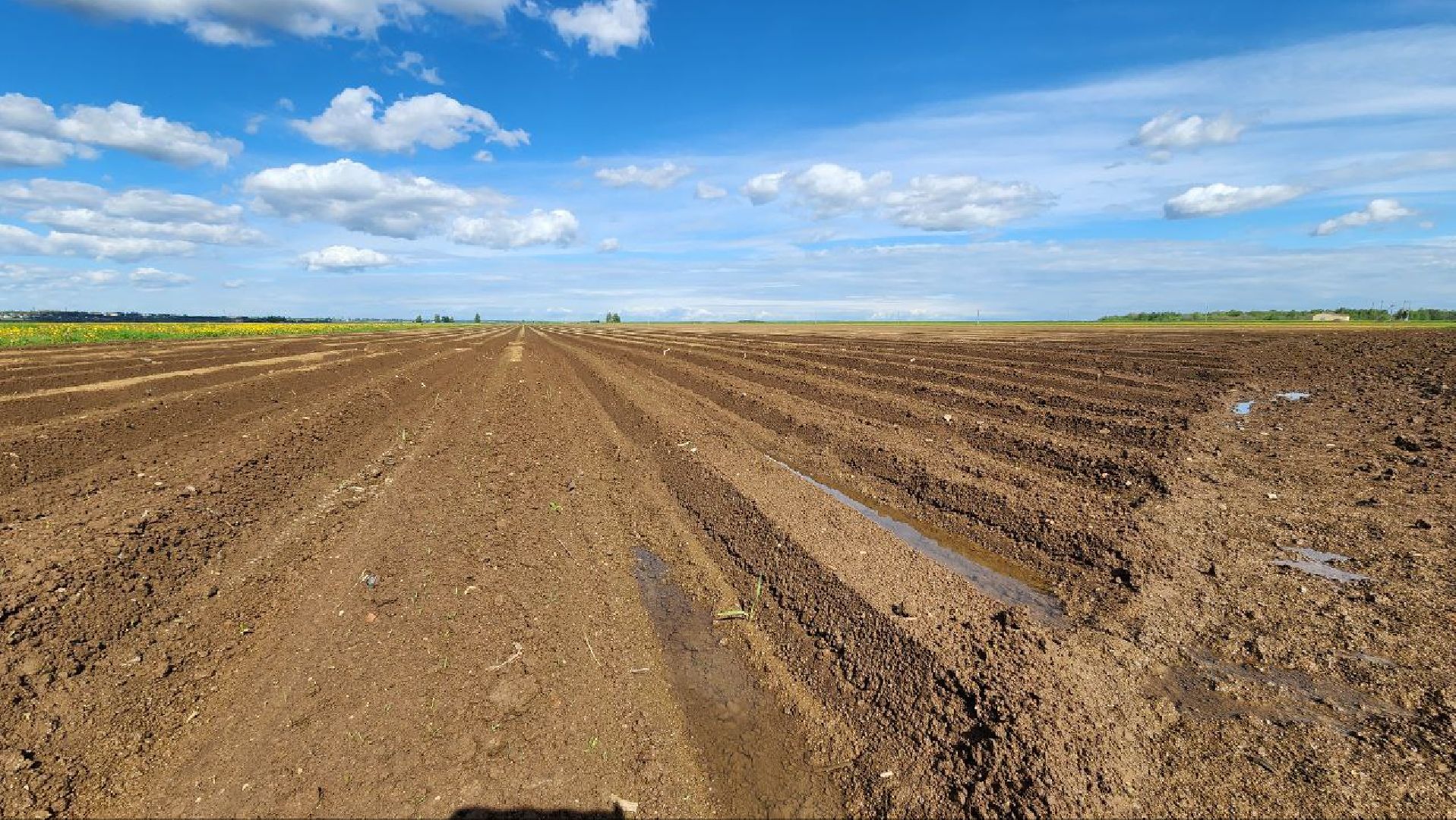 Дмитров, Минсельхоз, Мособлдума, Агрохолдинг, Дмитровские овощи,