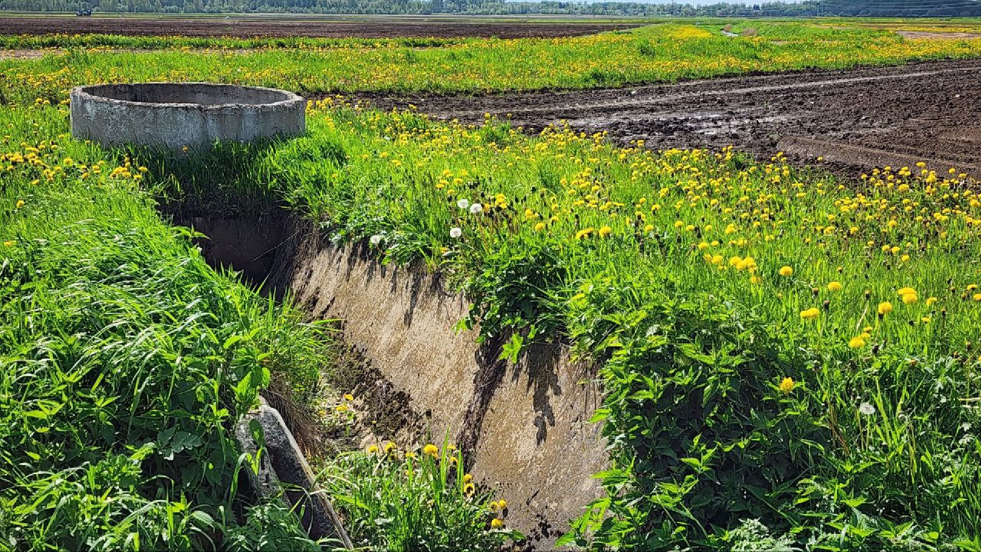 Дмитров, Минсельхоз, Мособлдума, Агрохолдинг, Дмитровские овощи,
