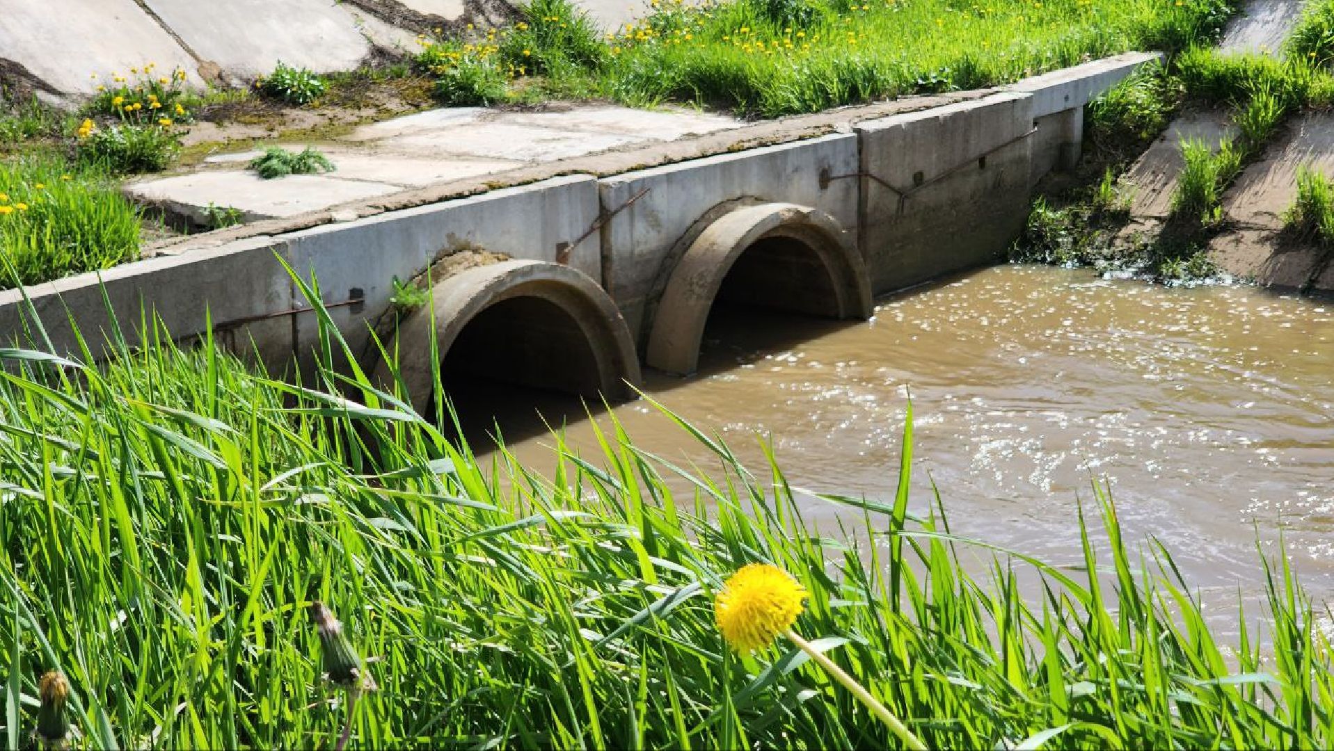 Дмитров, Минсельхоз, Мособлдума, Агрохолдинг, Дмитровские овощи,