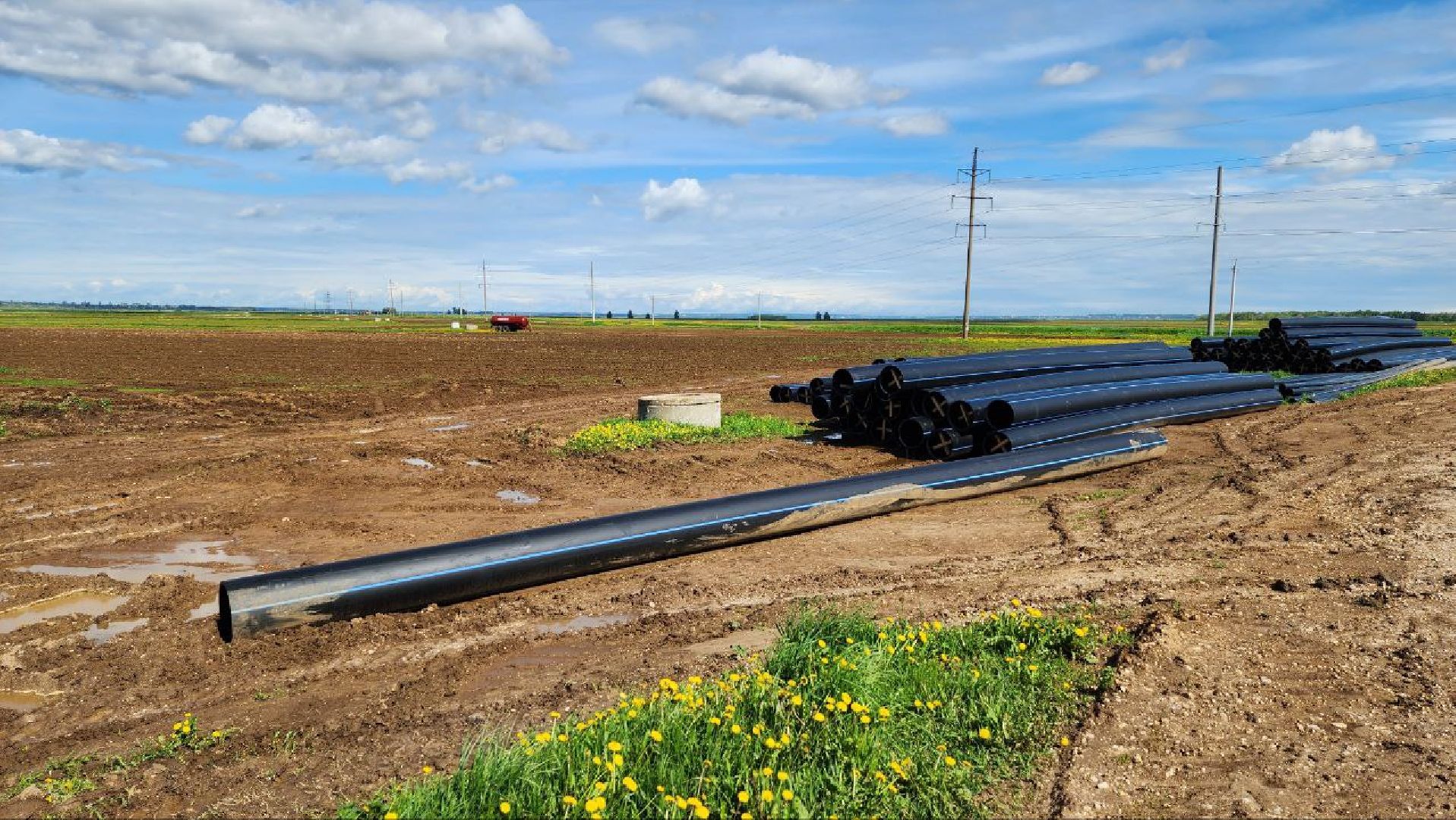 Дмитров, Минсельхоз, Мособлдума, Агрохолдинг, Дмитровские овощи,