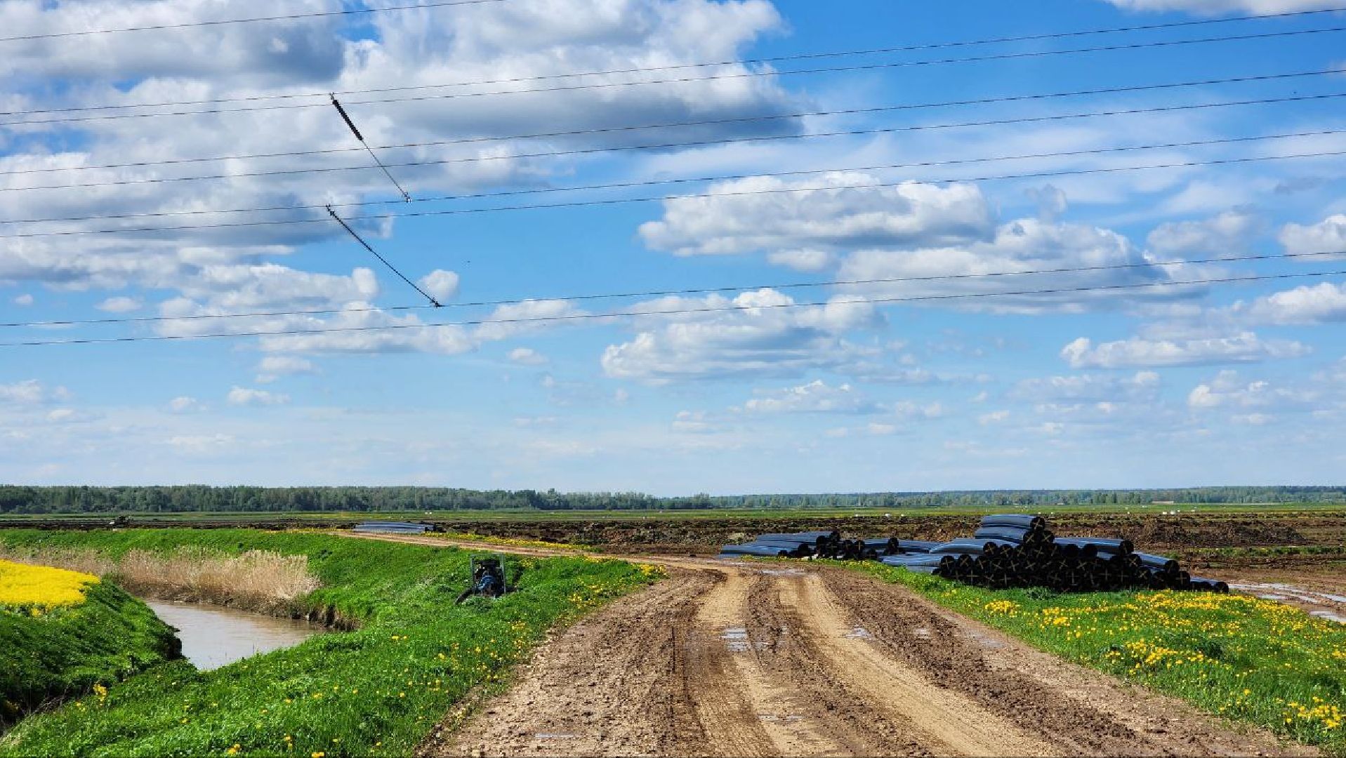 Дмитров, Минсельхоз, Мособлдума, Агрохолдинг, Дмитровские овощи,
