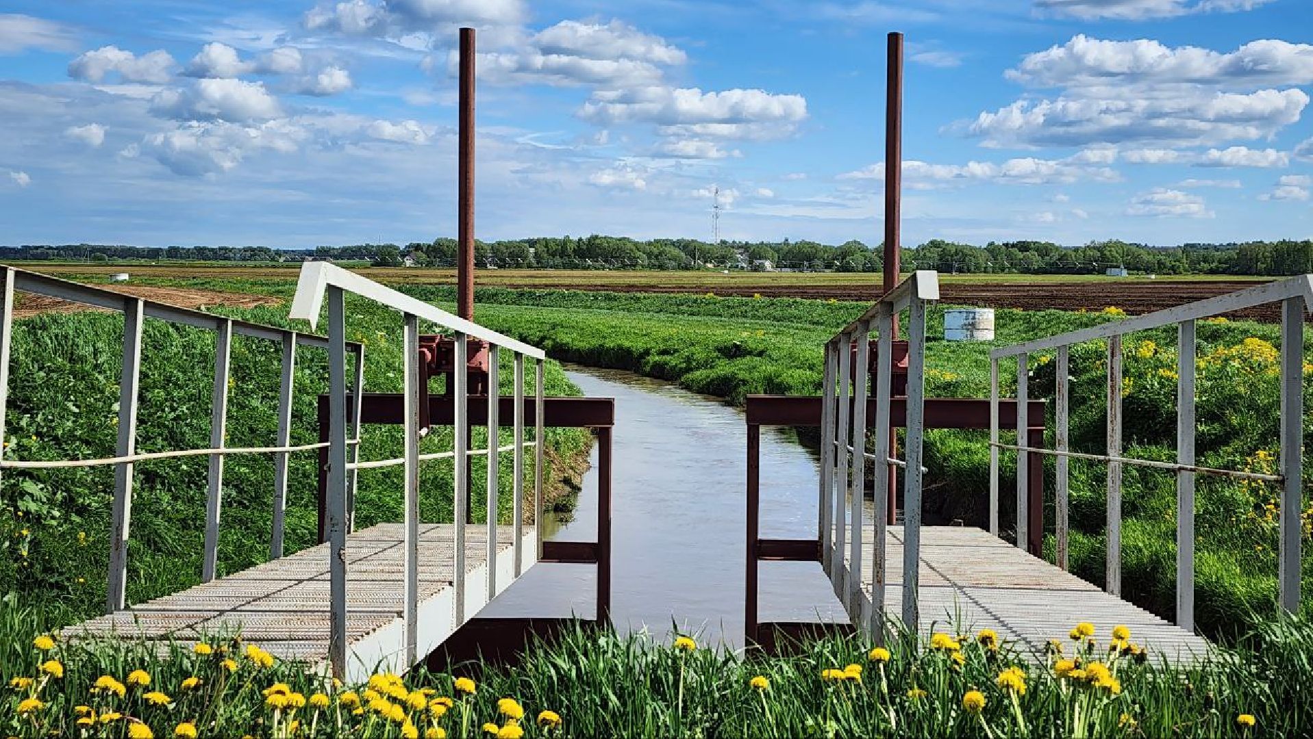 Дмитров, Минсельхоз, Мособлдума, Агрохолдинг, Дмитровские овощи,