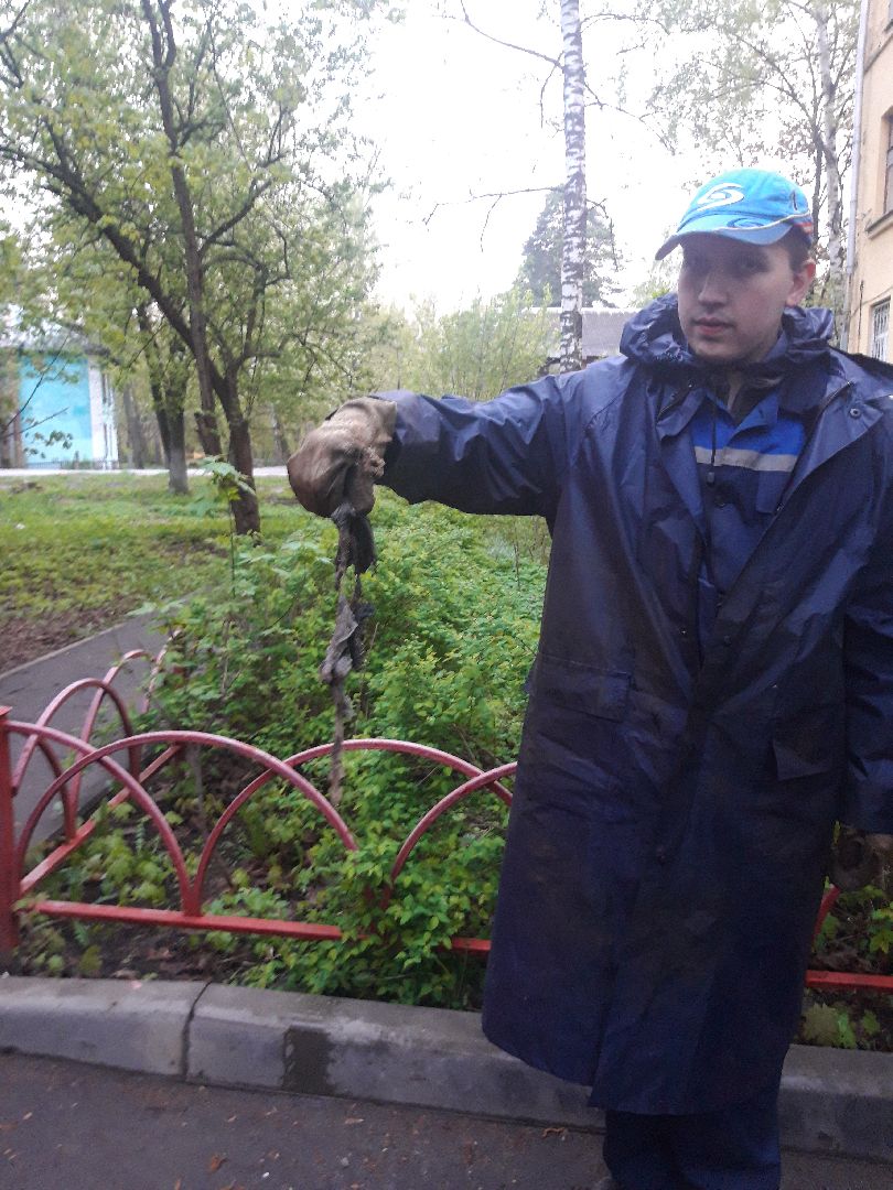 Пушкино, двор, доброе дело,