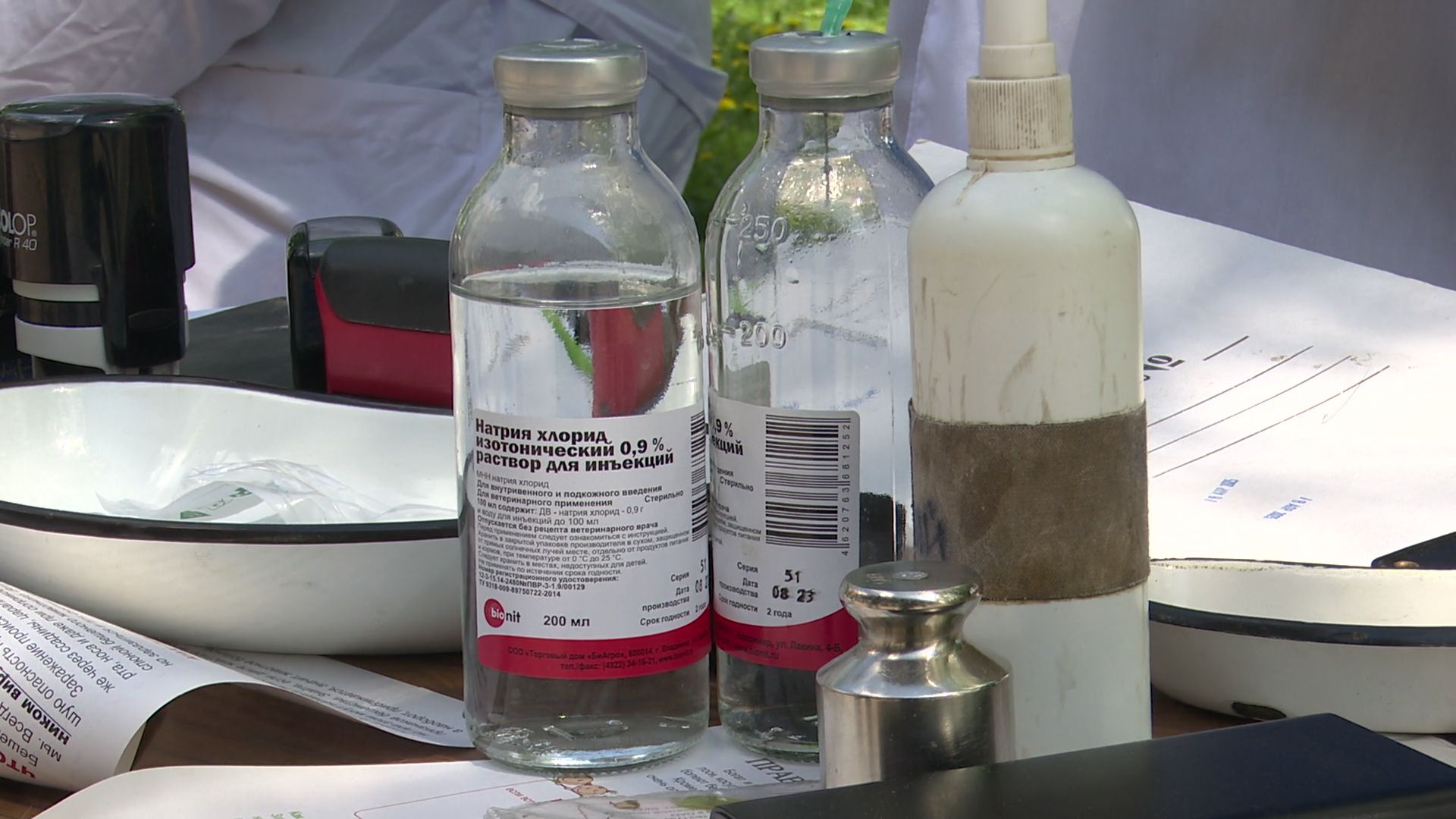 реутов, вакцинация, кошки, собаки, прививки от бешенства, чипирование,