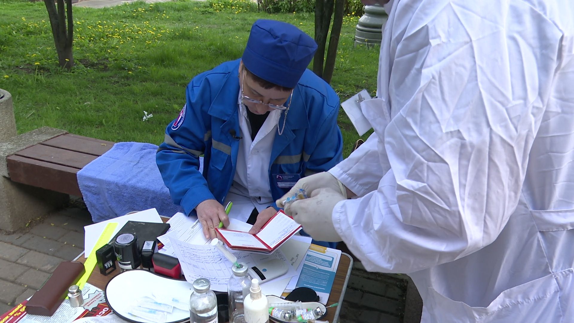 реутов, вакцинация, кошки, собаки, прививки от бешенства, чипирование,