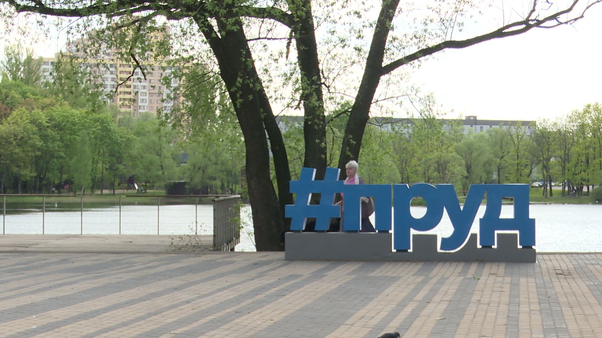 реутов, вакцинация, кошки, собаки, прививки от бешенства, чипирование,