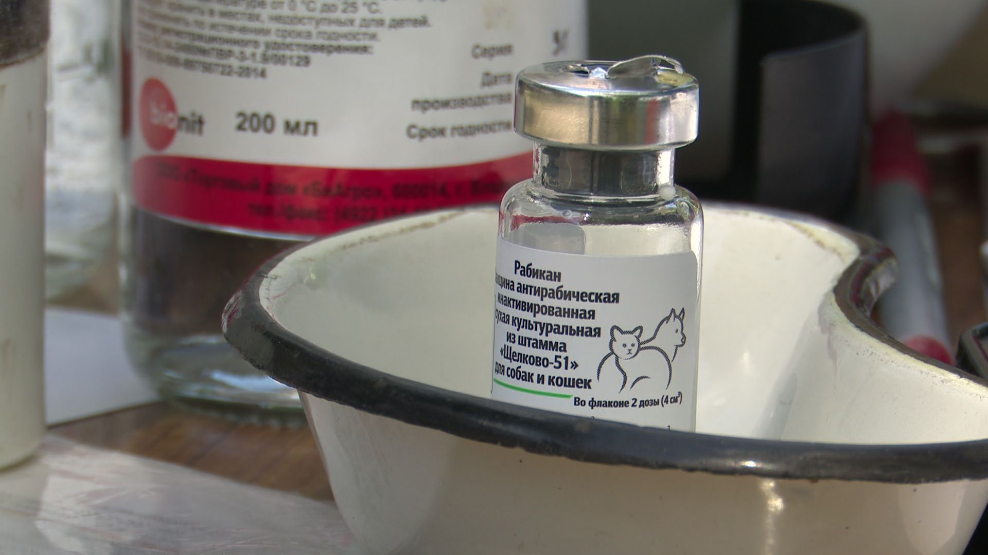 реутов, вакцинация, кошки, собаки, прививки от бешенства, чипирование,