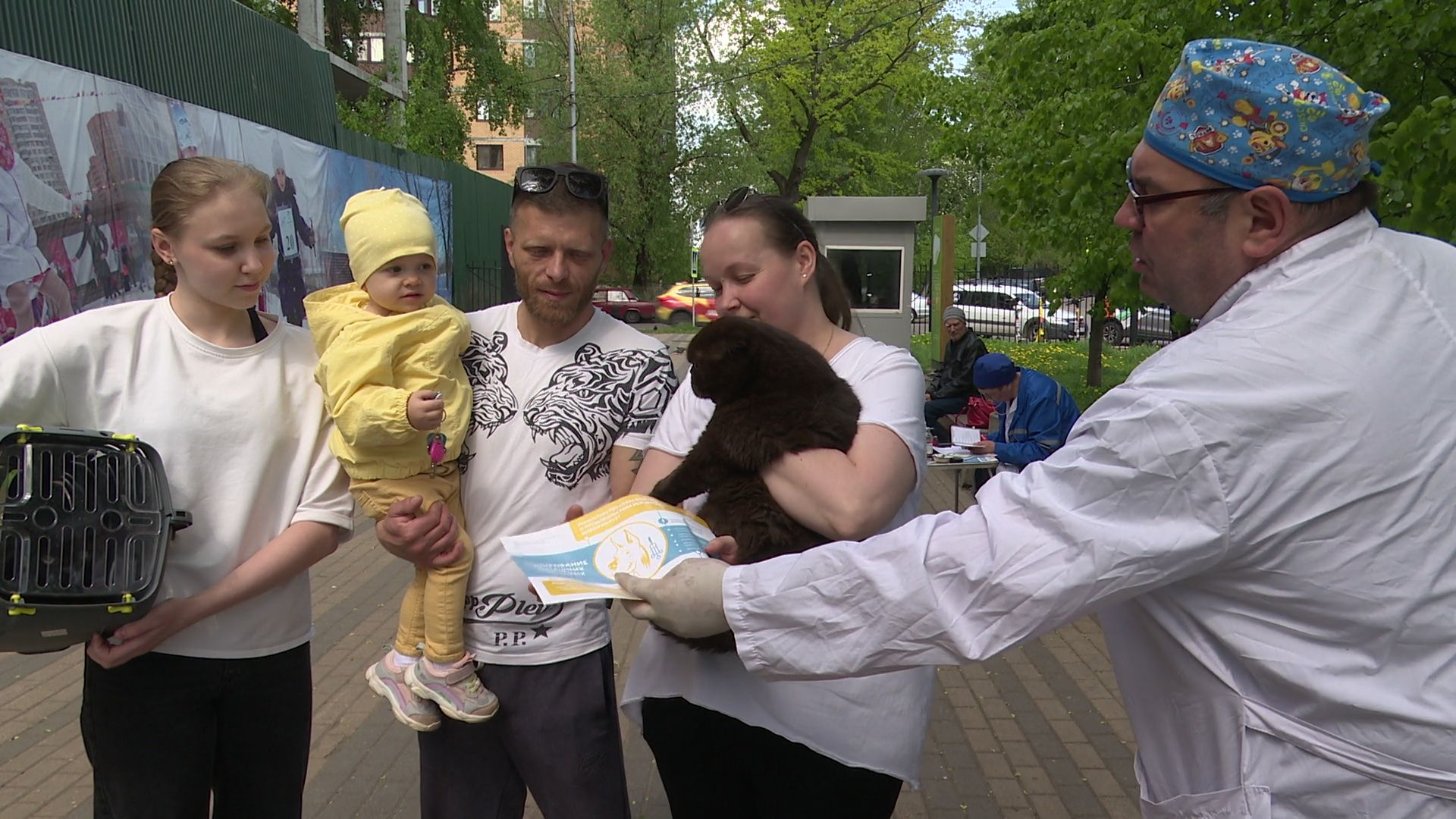 реутов, вакцинация, кошки, собаки, прививки от бешенства, чипирование,