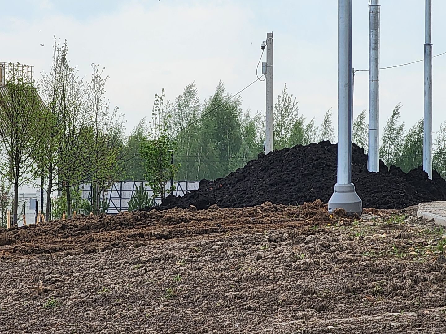 сергиев посад, семхоз, озеленение,