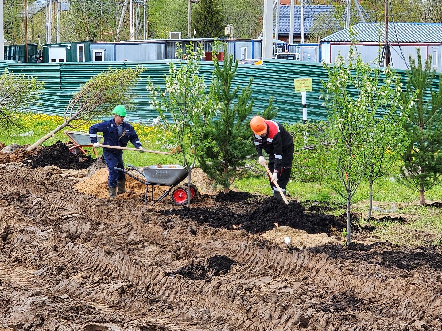 сергиев посад, семхоз, озеленение,