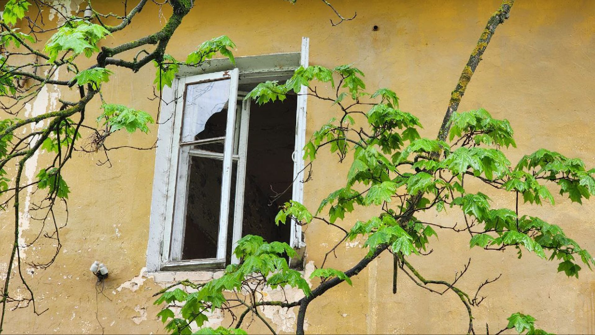 Талдом, Снос аварийного жилья, Минблаго, Комитет по архитектуре и градостроительству, Запрудня,