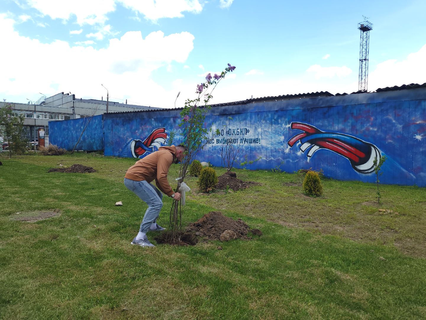 мытищи, деревья, природа,