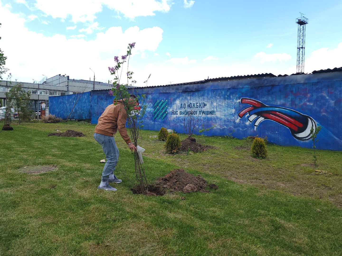 мытищи, деревья, природа,