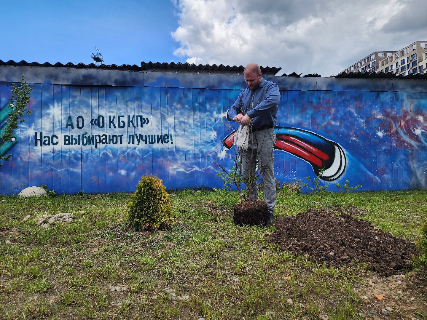 мытищи, деревья, природа,