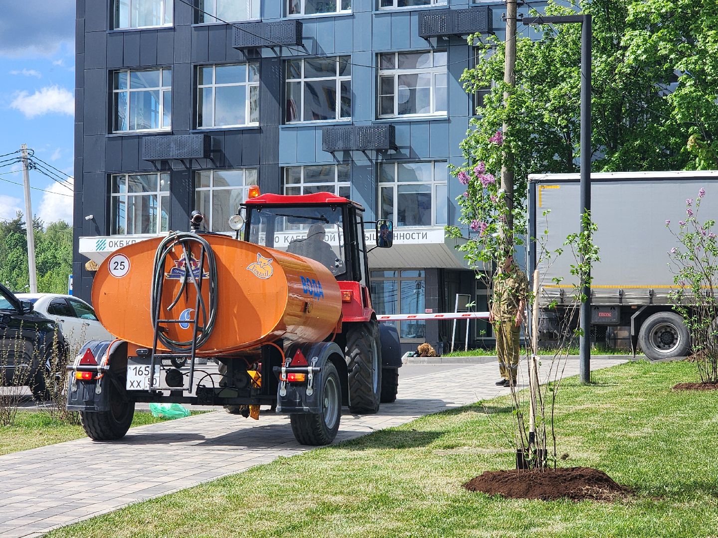 мытищи, деревья, природа,