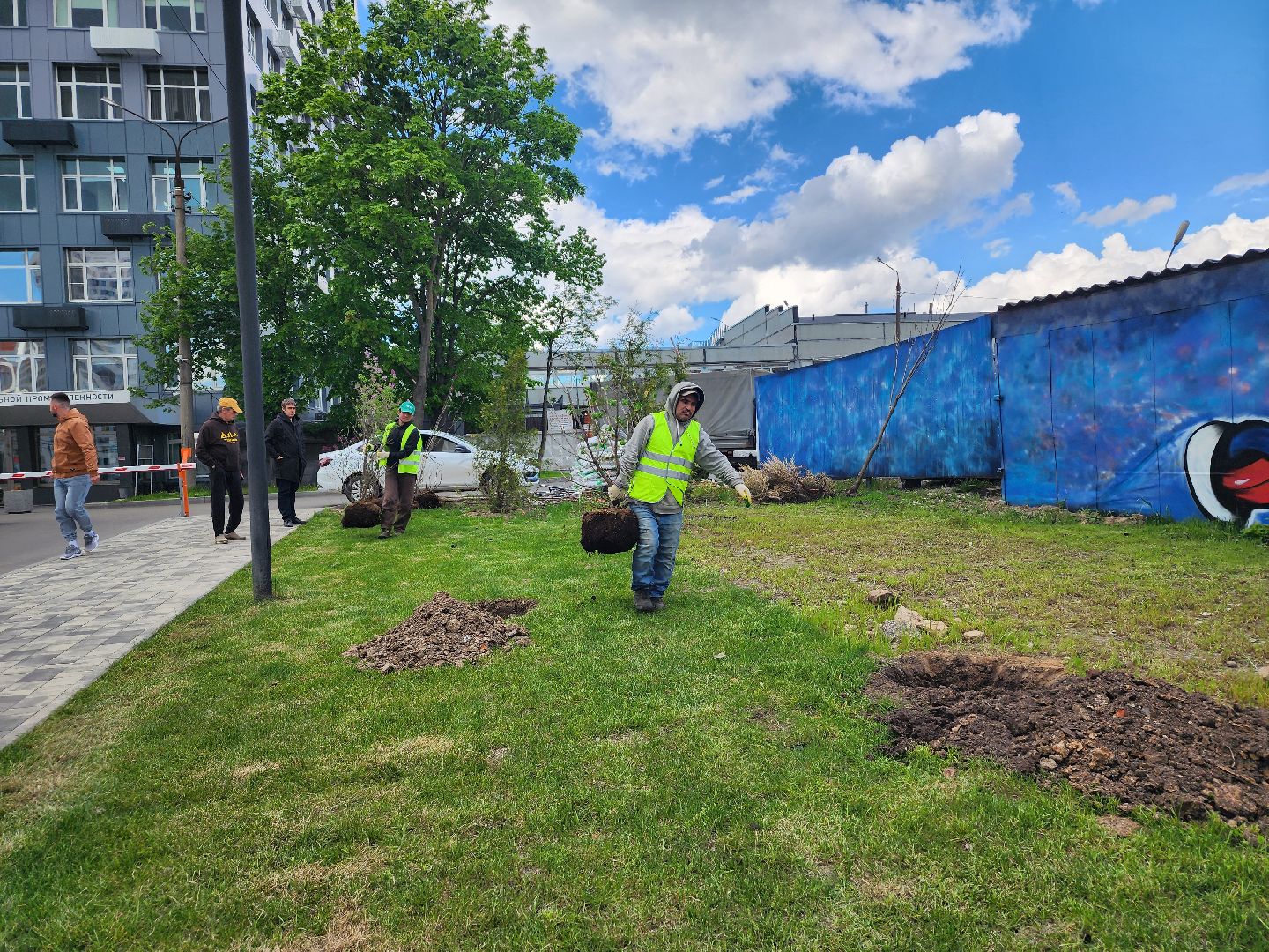 мытищи, деревья, природа,