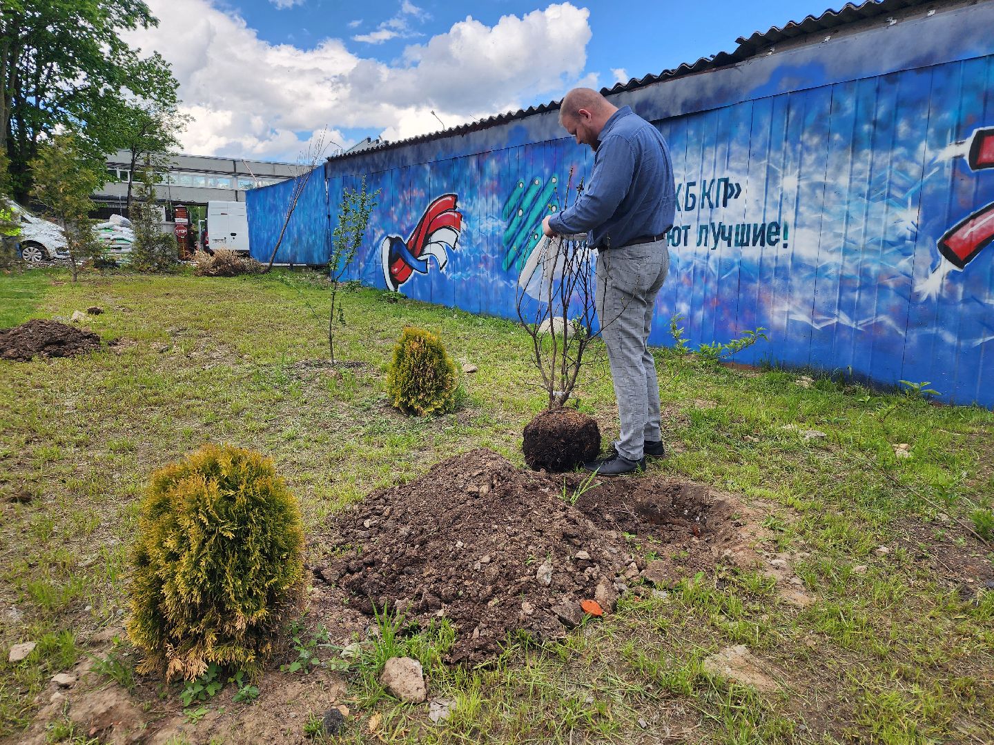 мытищи, деревья, природа,