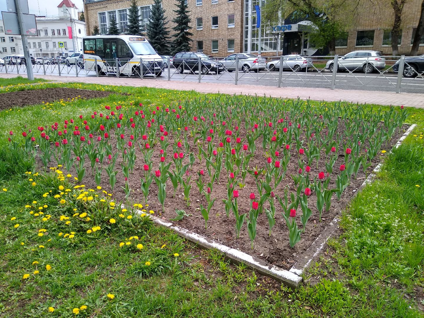 Раменское, благоустройство, цветники