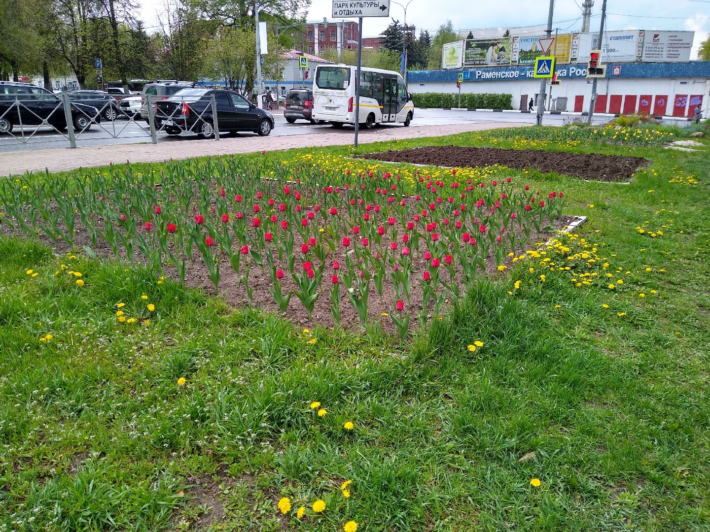 Раменское, благоустройство, цветники