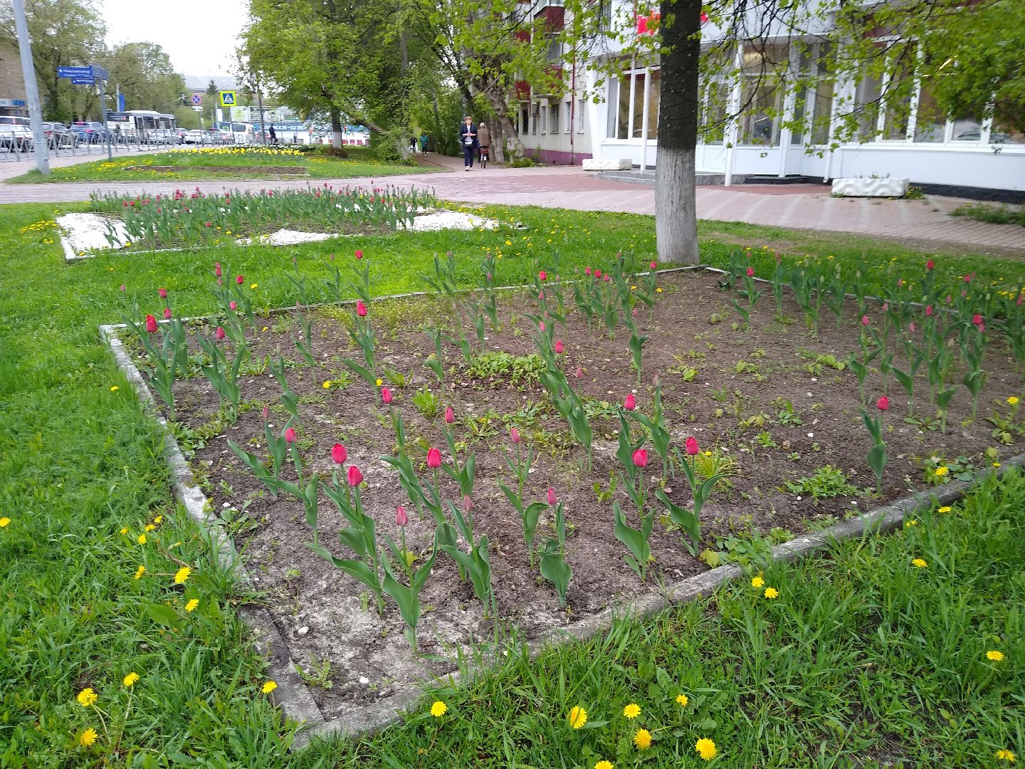 Раменское, благоустройство, цветники